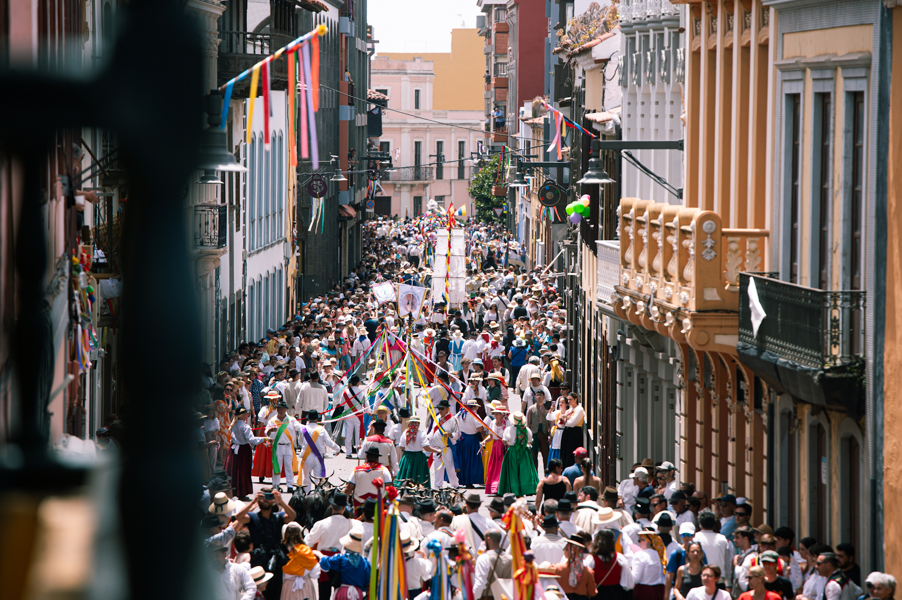 Romería de San Benito Abad / CanariasNoticias.es 