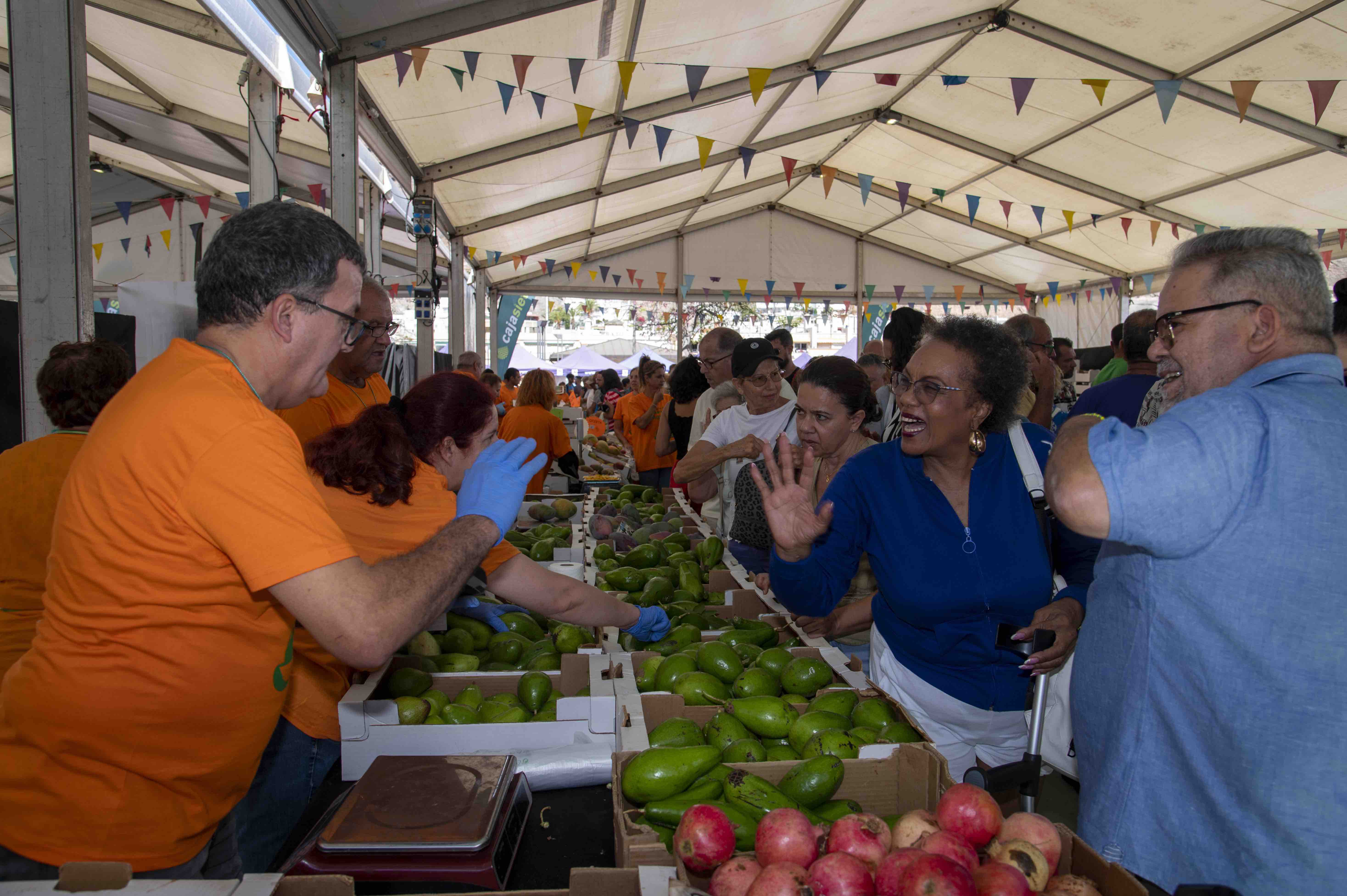 Feria del Mango y Aguacate de Verano de Mogán / CanariasNoticias.es 