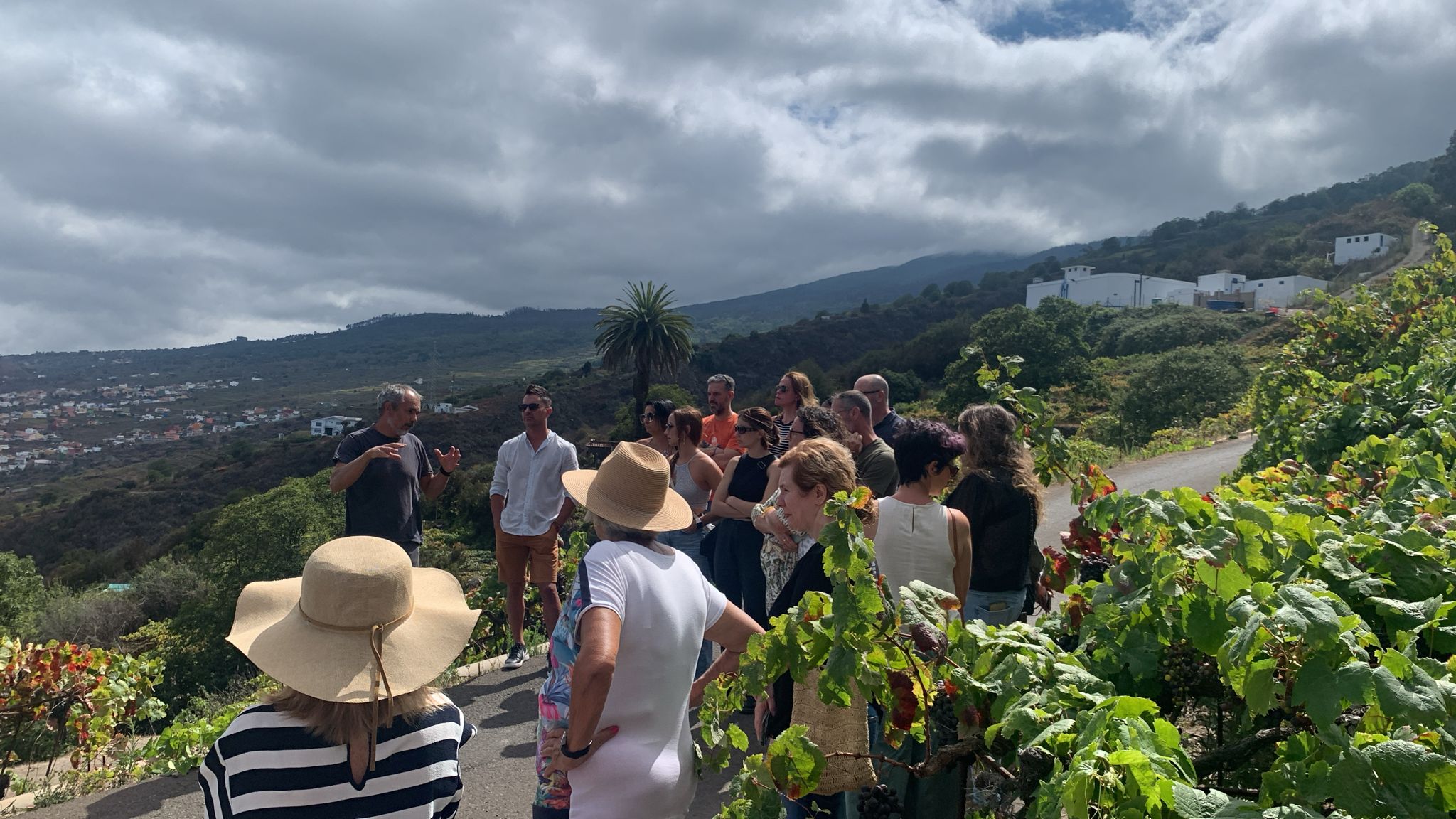 Descorcha Canarias de Canary Wine / CanariasNoticias.es 