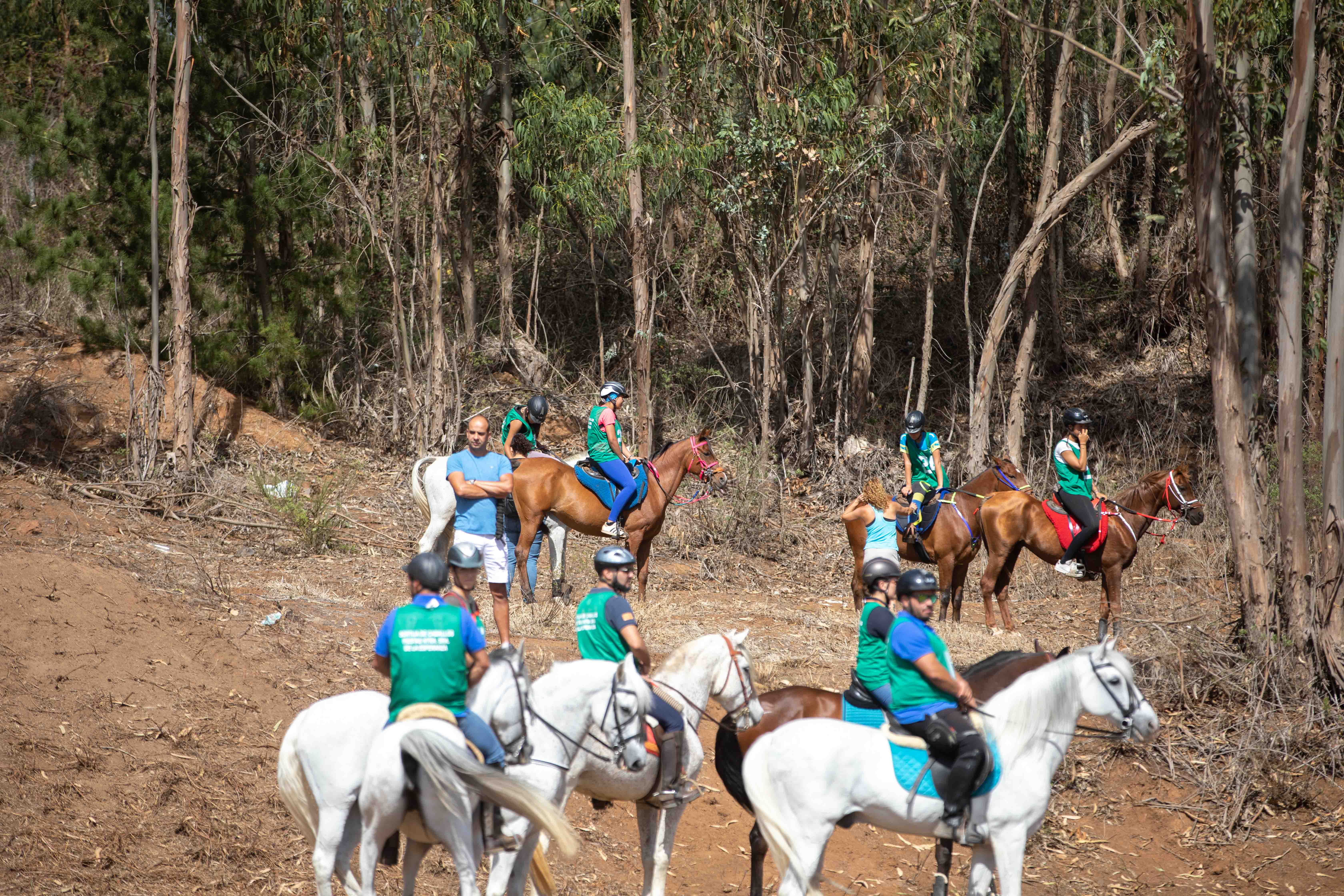  Sortija de Caballos de La Esperanza / CanariasNoticias.es 