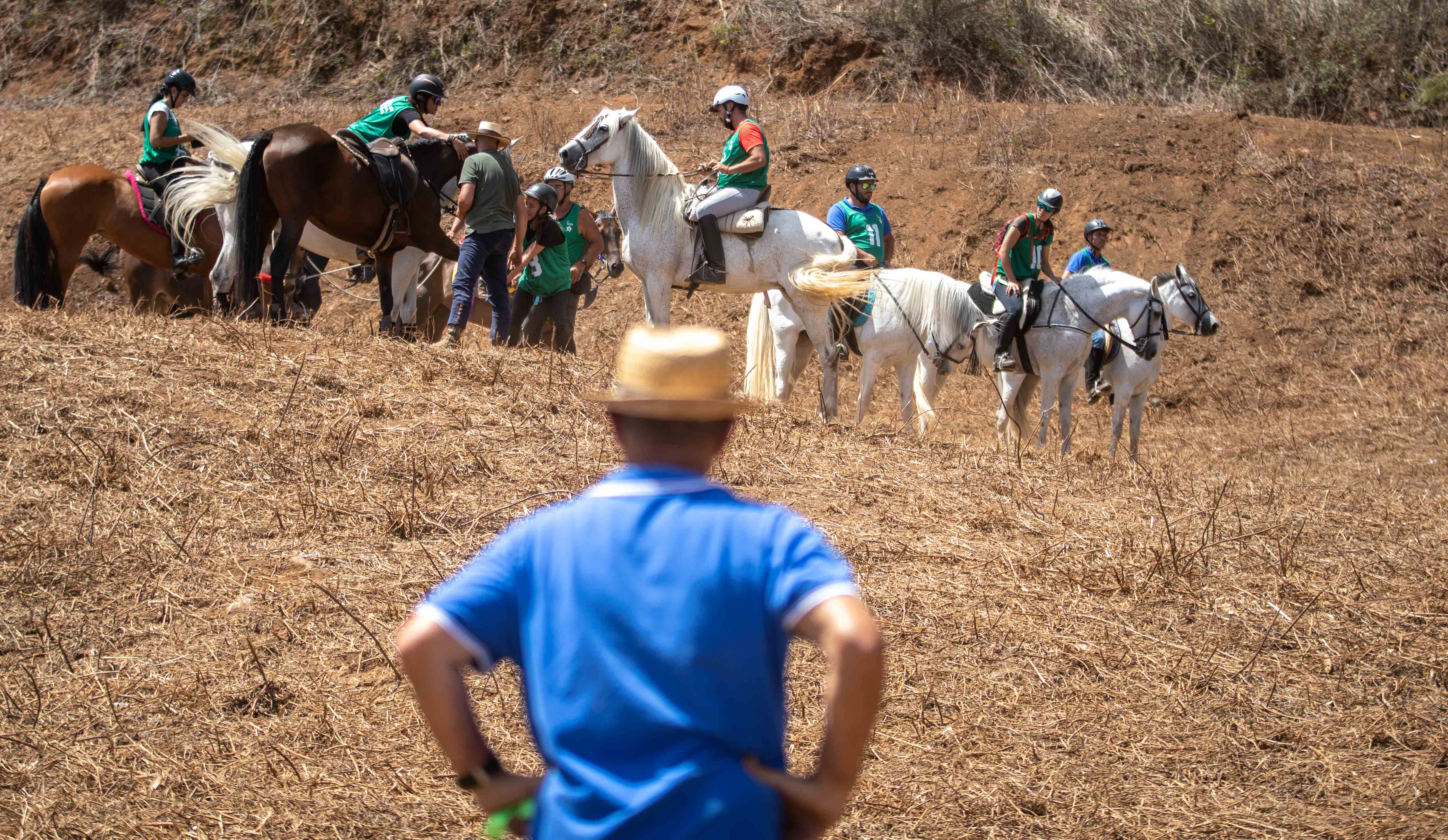  Sortija de Caballos de La Esperanza / CanariasNoticias.es 