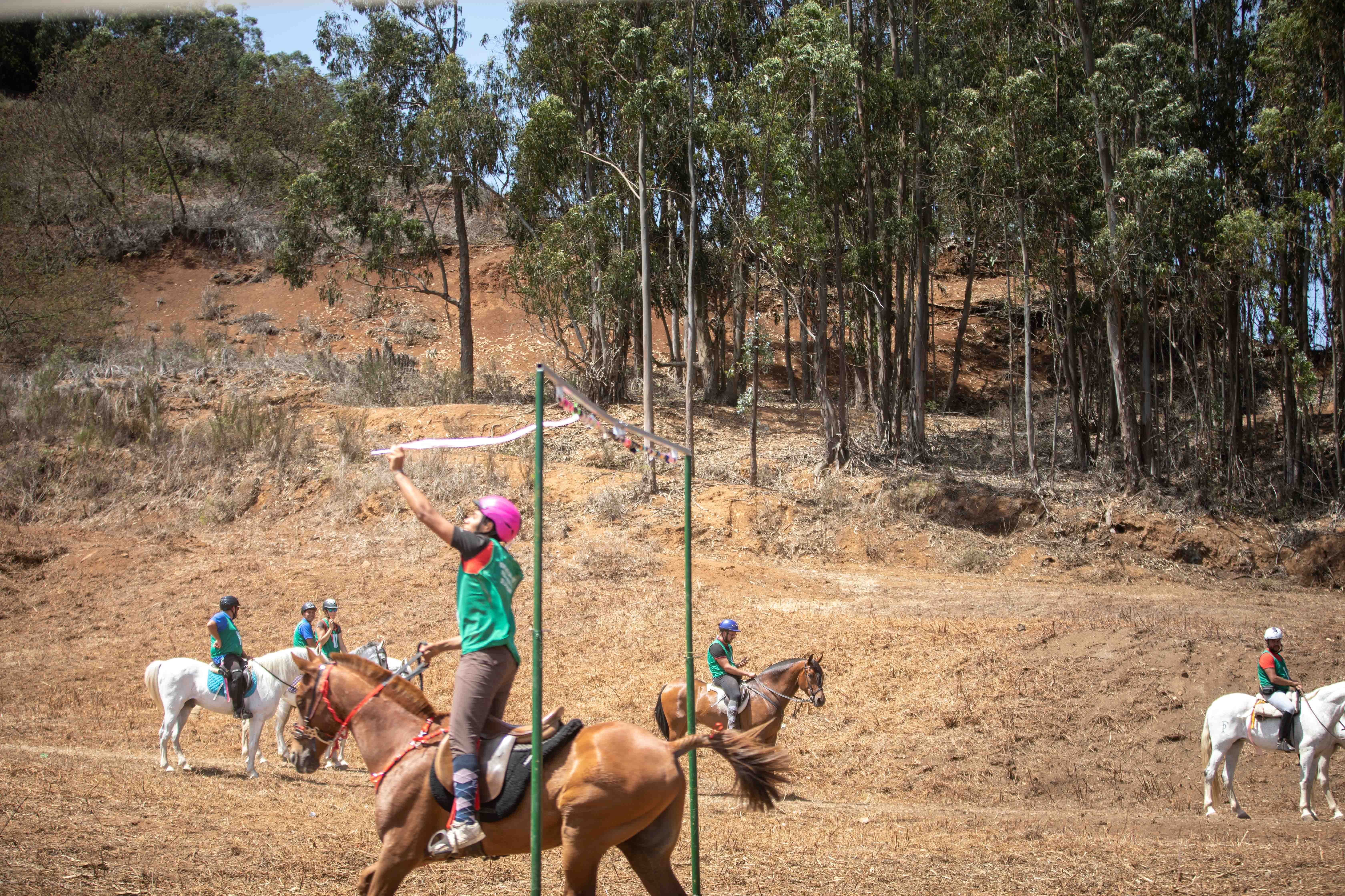  Sortija de Caballos de La Esperanza / CanariasNoticias.es 