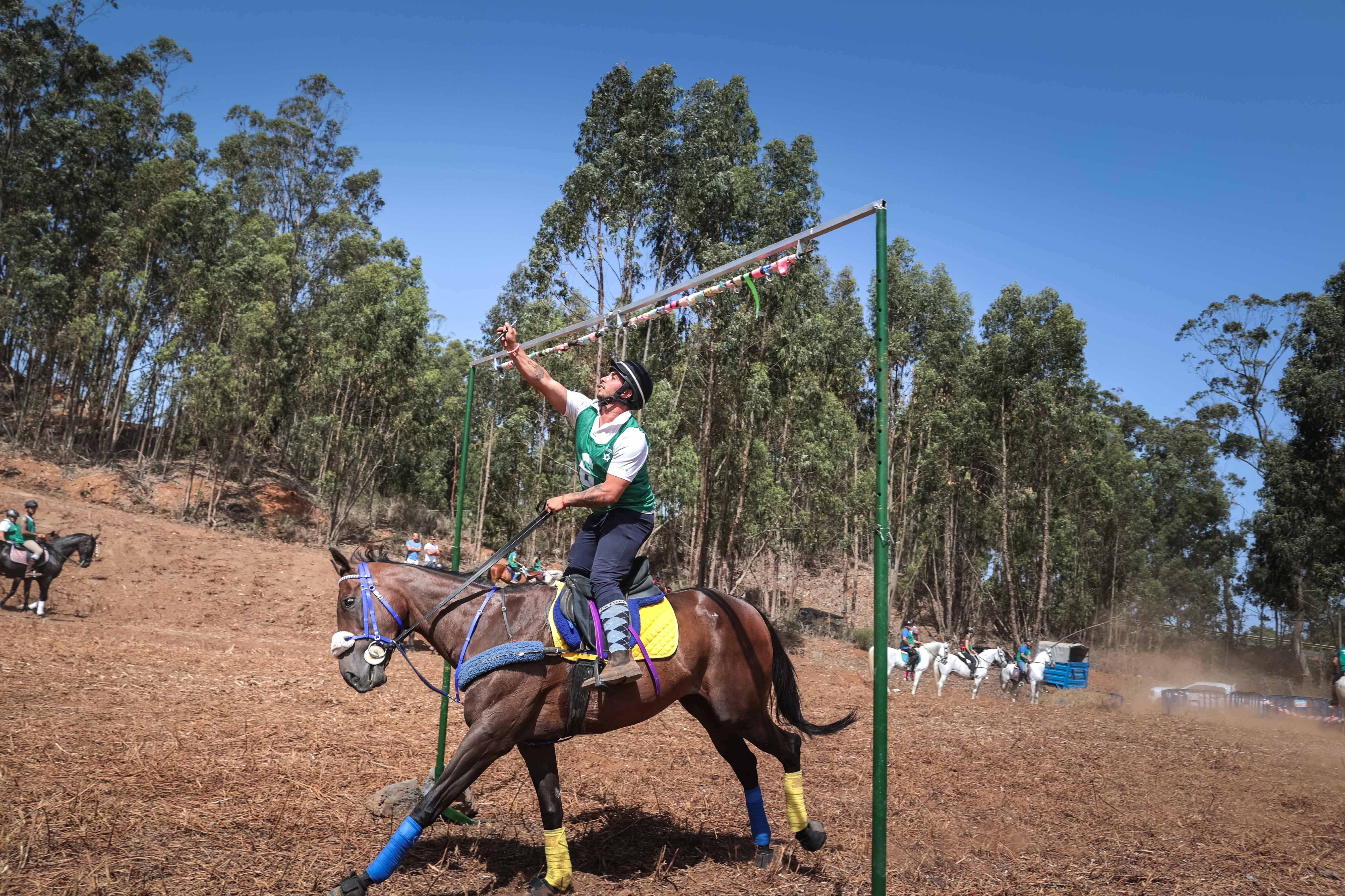  Sortija de Caballos de La Esperanza / CanariasNoticias.es 