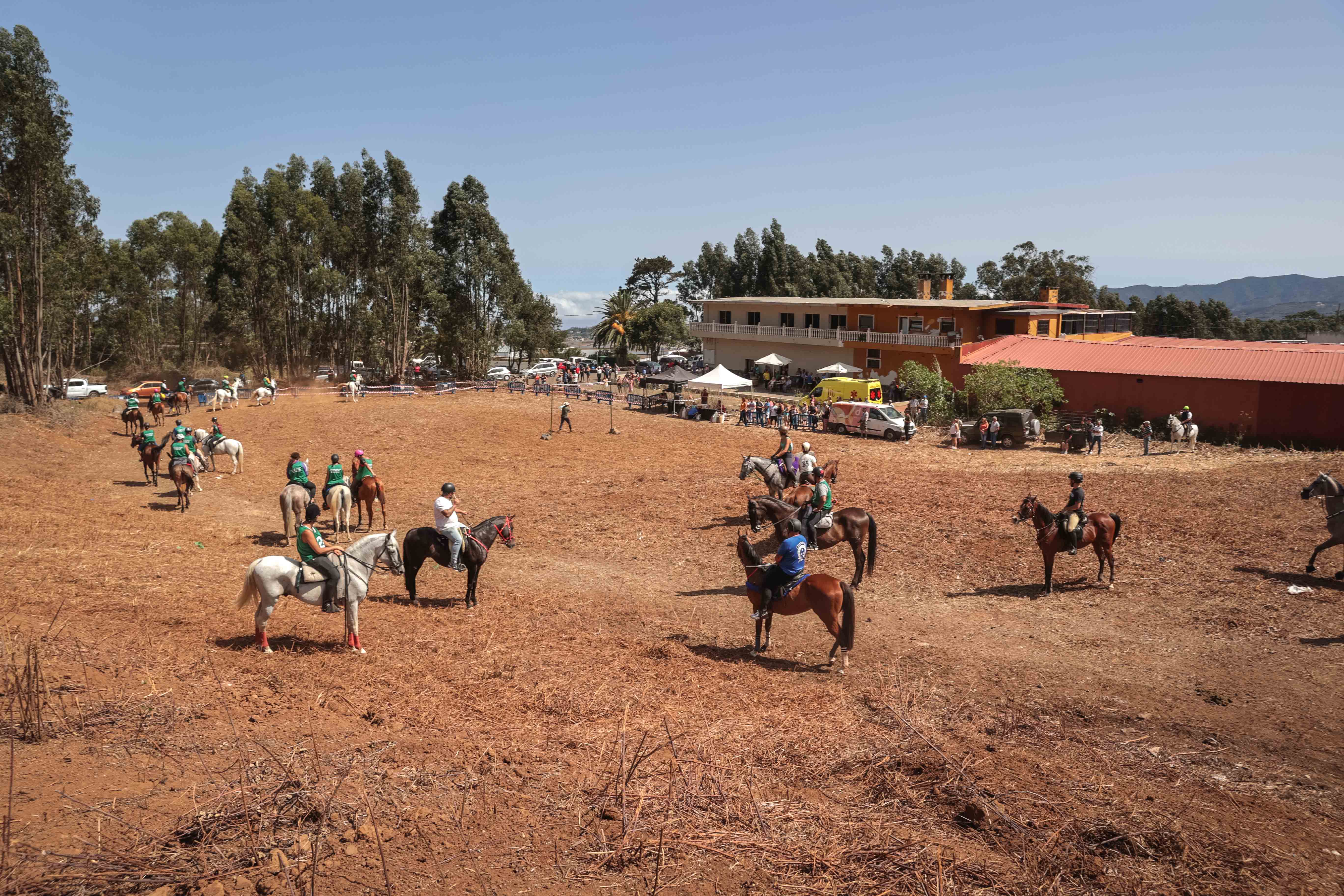  Sortija de Caballos de La Esperanza / CanariasNoticias.es 