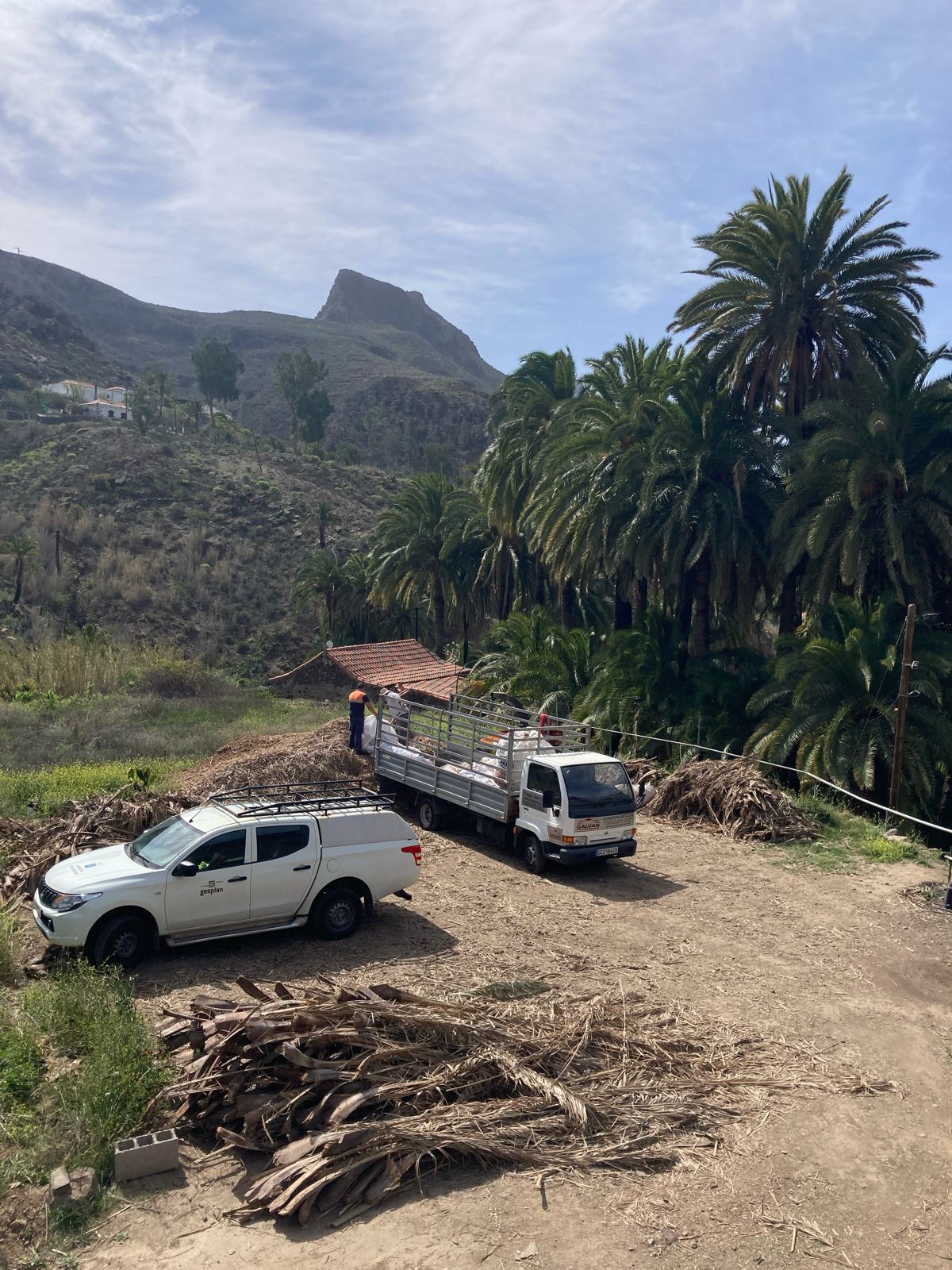 Limpieza del barranco de Fataga / CanariasNoticias.es 