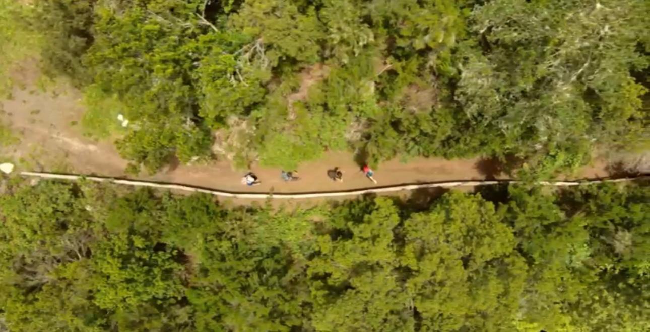 Ruta del Bollullo al Teide / CanariasNoticias.es 