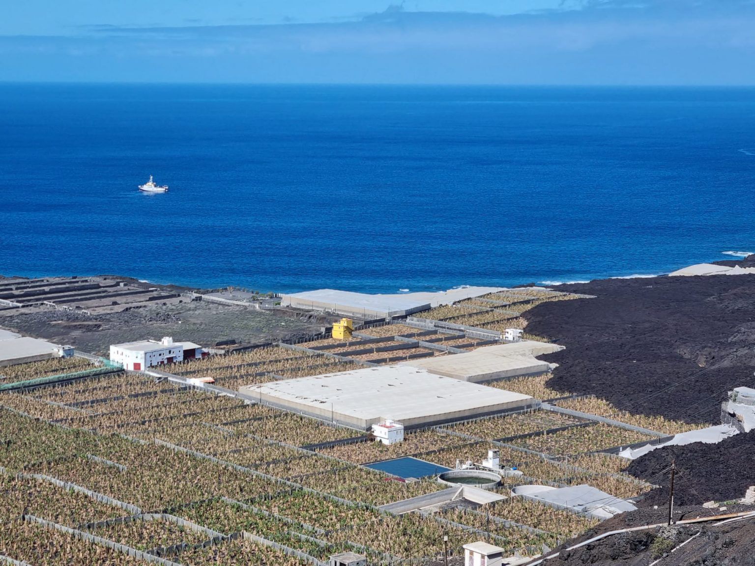 Explotación platanera afectada por el volcán de La Palma