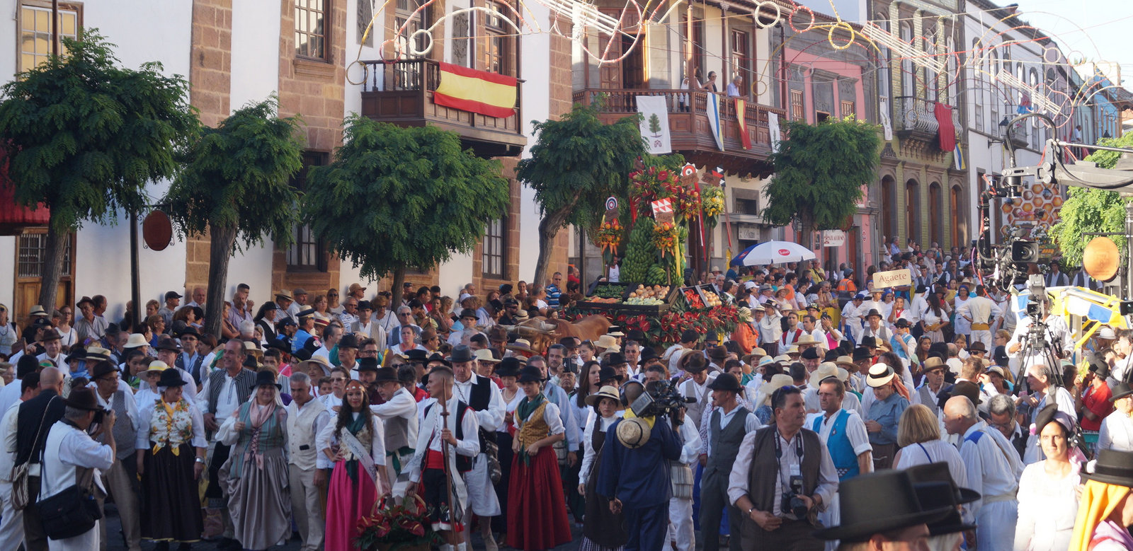 Romería-Ofrenda a la Virgen del Pino