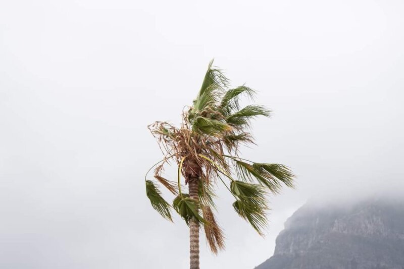 Alerta por viento en Canarias 