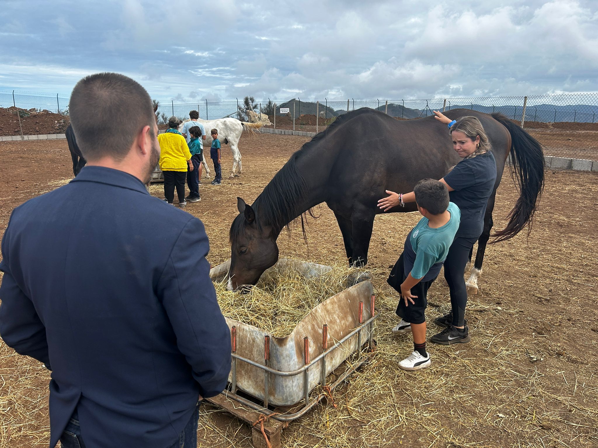 Escolares de La Laguna con caballos 