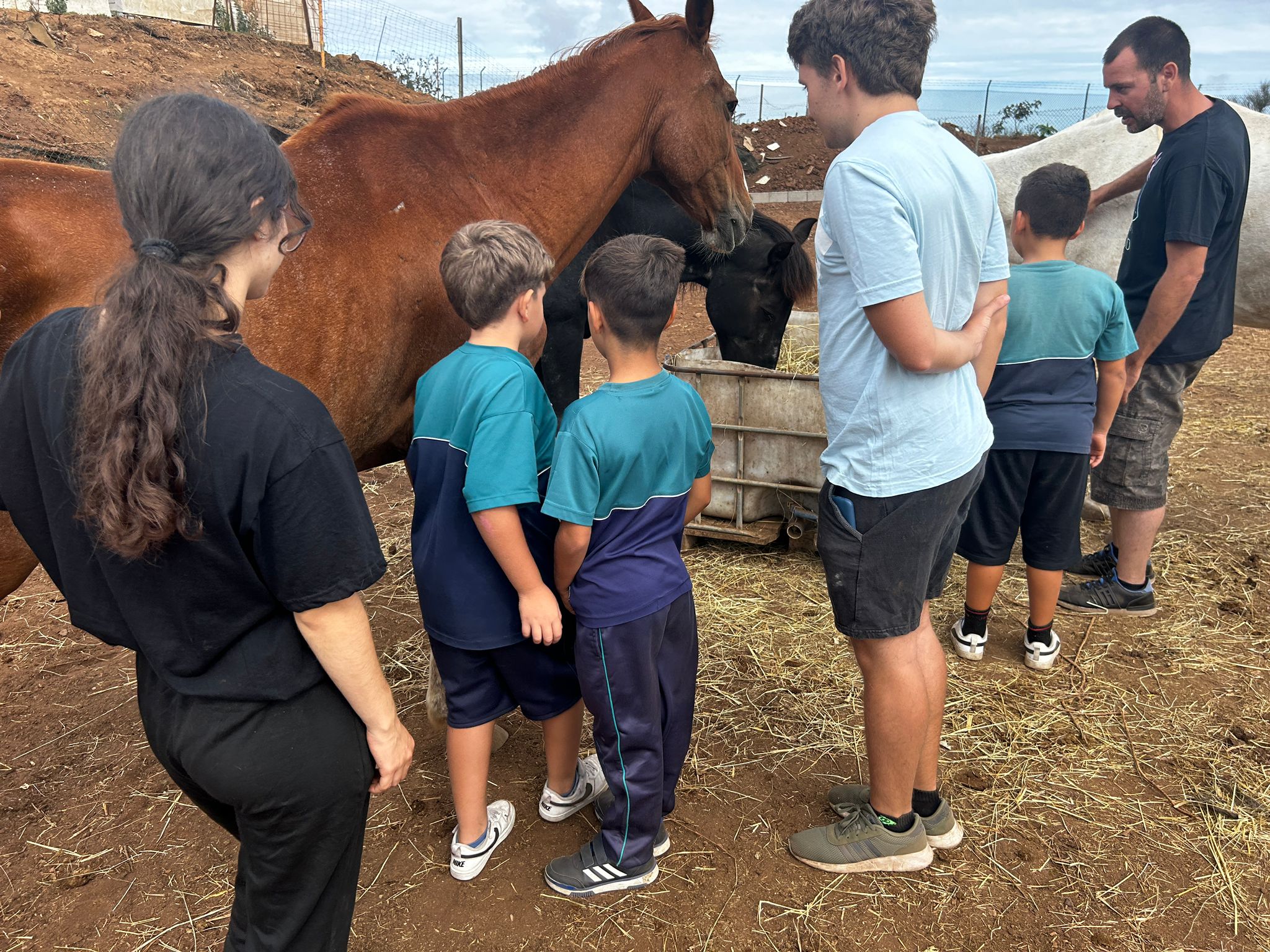 Escolares de La Laguna con caballos 