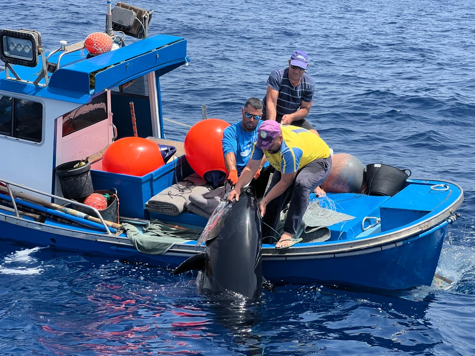 Pesca en El Hierro / CanariasNoticias.es 