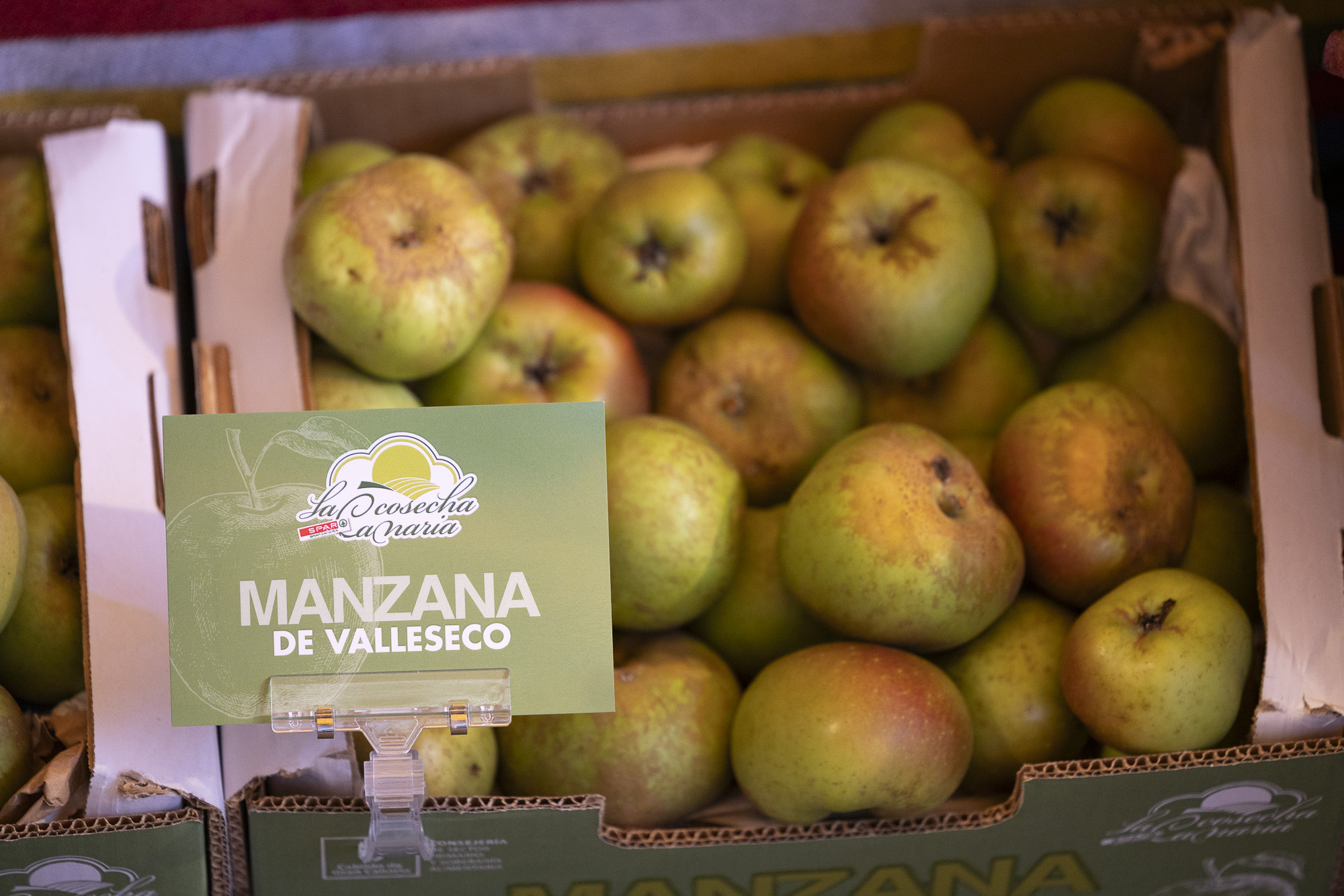 Convenio para comercializar manzanas reinetas