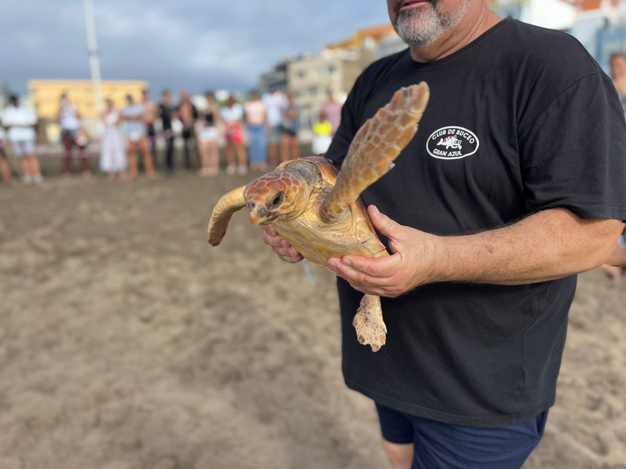 Suelta de tortugas en Playa de Melenara / CanariasNoticias.es