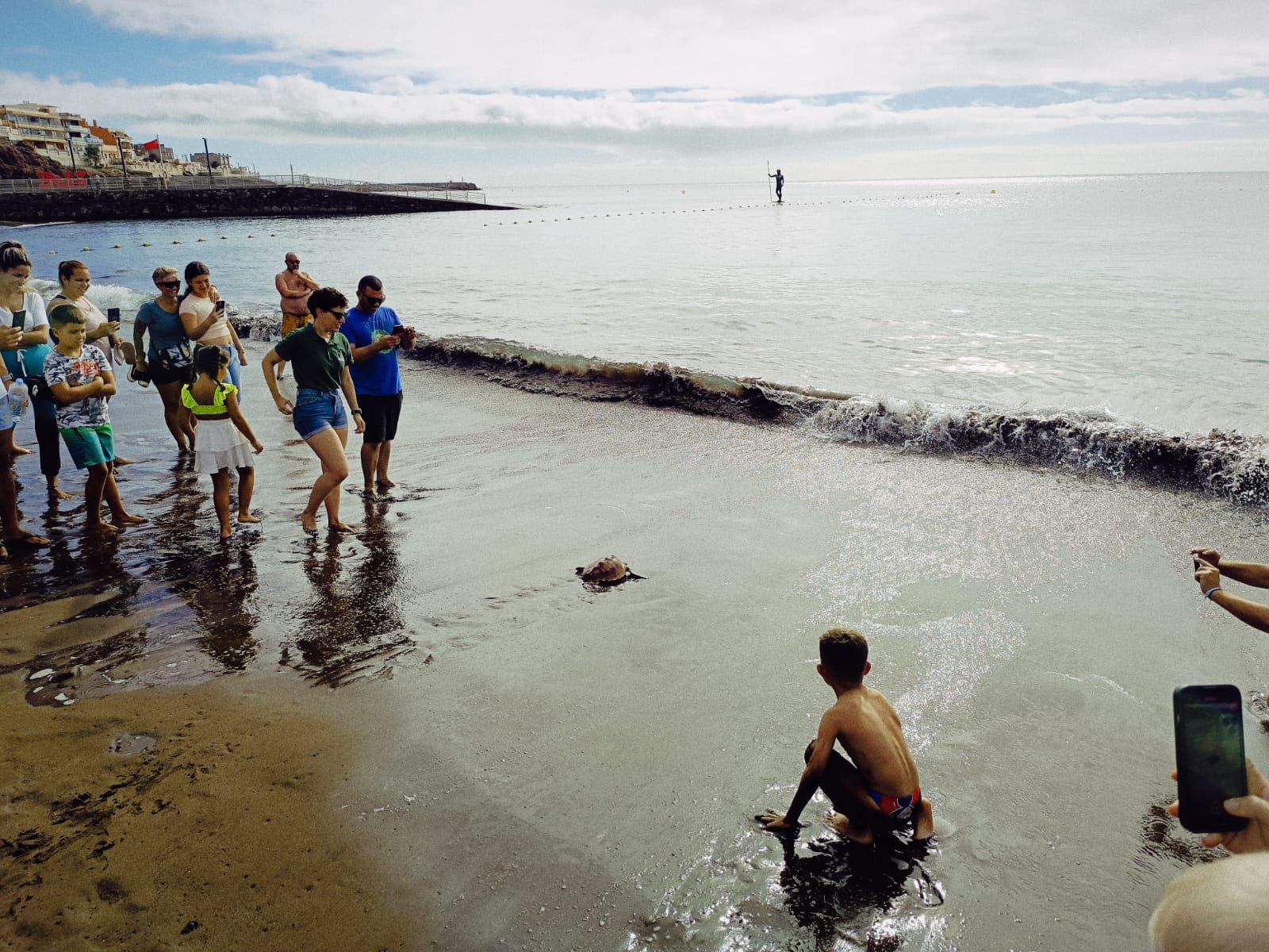 Suelta de tortugas en Playa de Melenara / CanariasNoticias.es