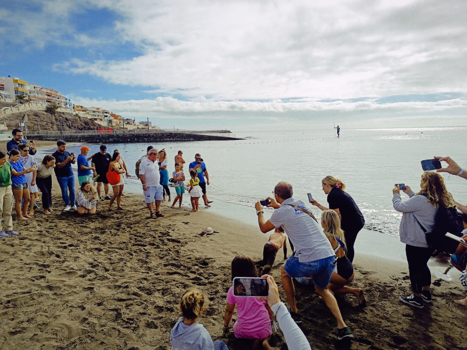 Suelta de tortugas en Playa de Melenara / CanariasNoticias.es