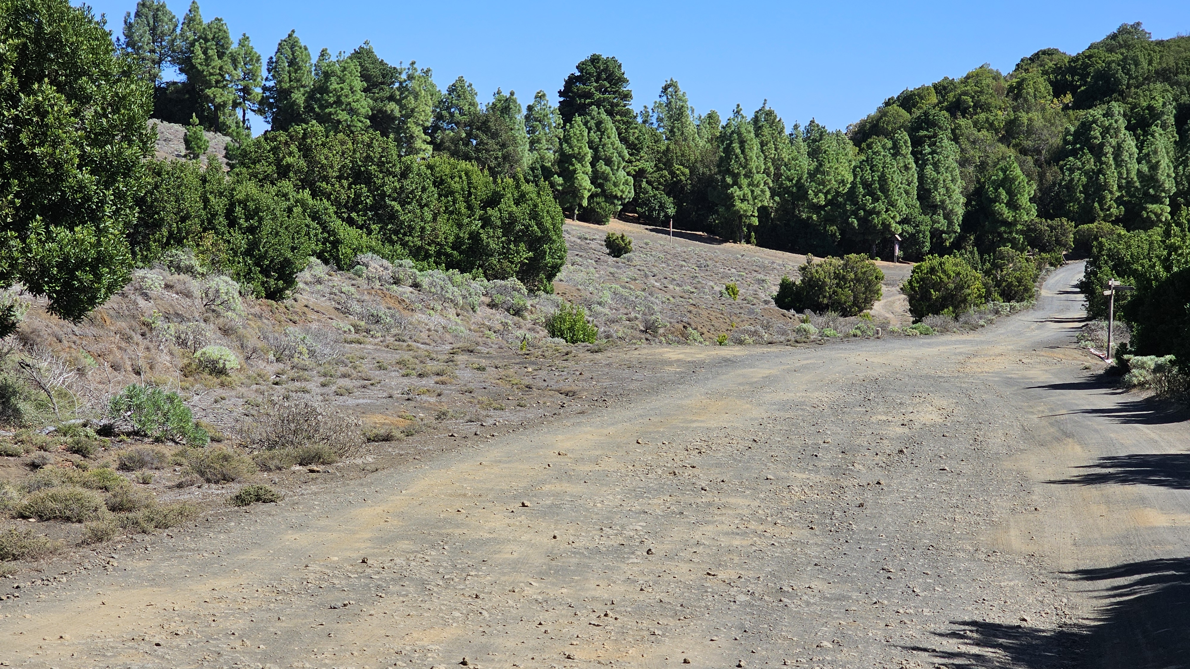 Pista forestal de El Hierro / CanariasNoticias