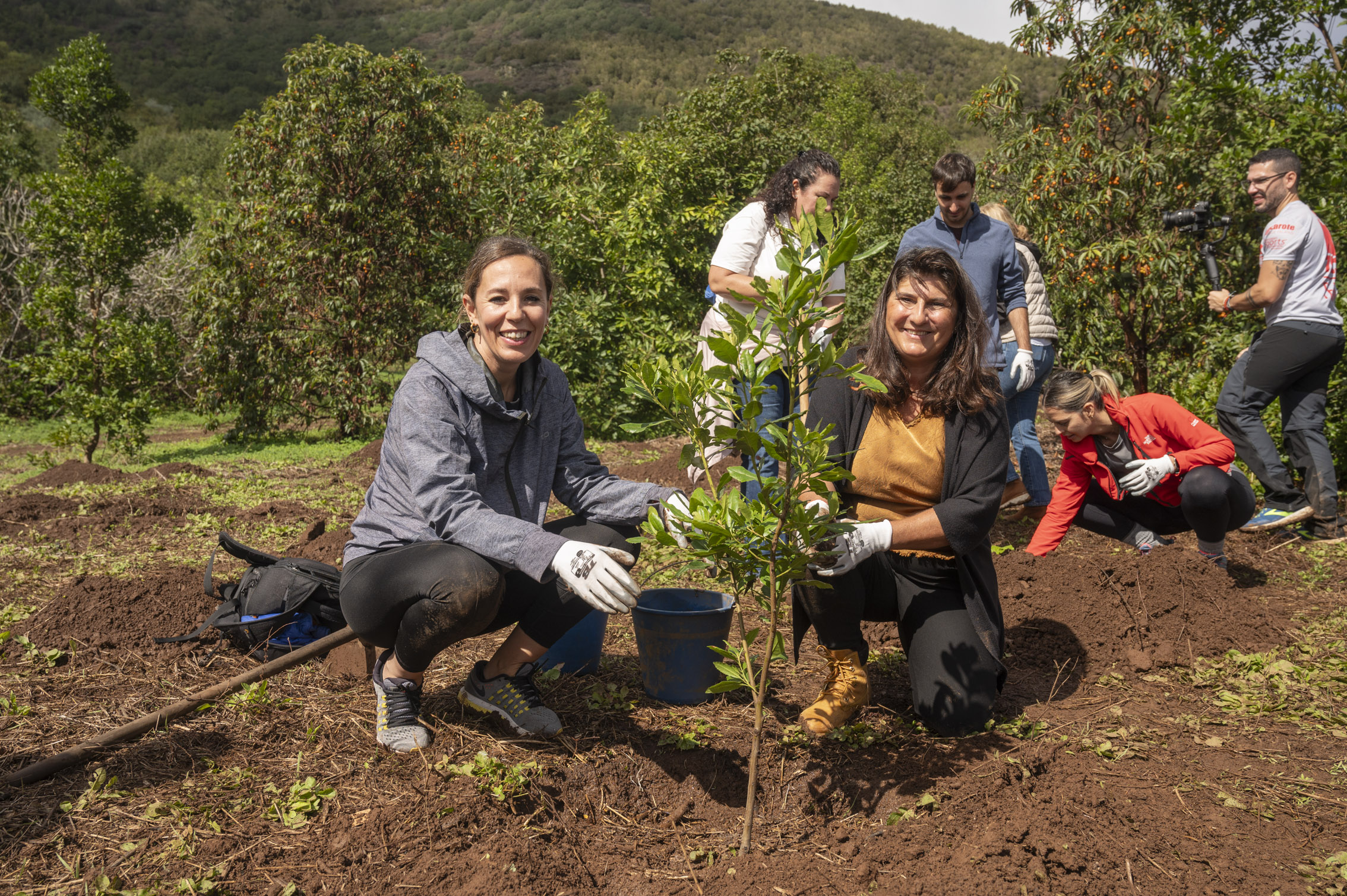 Reforestación en Teror / CanariasNoticias 