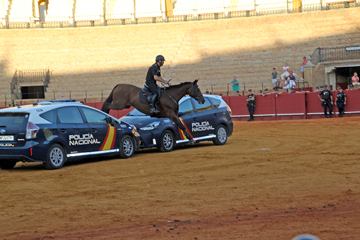 Plaza de Toros de la Maestranza