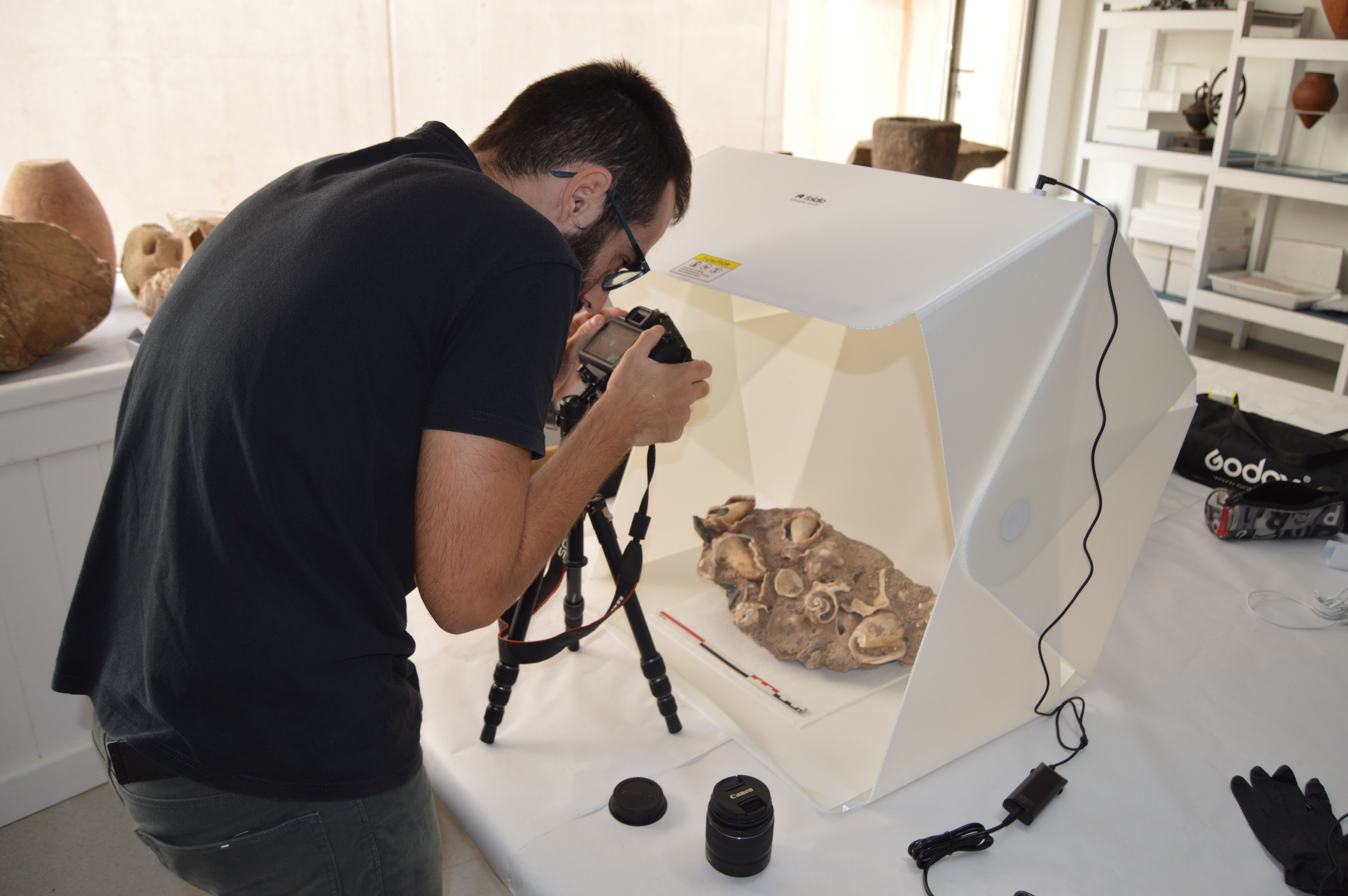 Inventario Museo Arqueológico de Fuerteventura