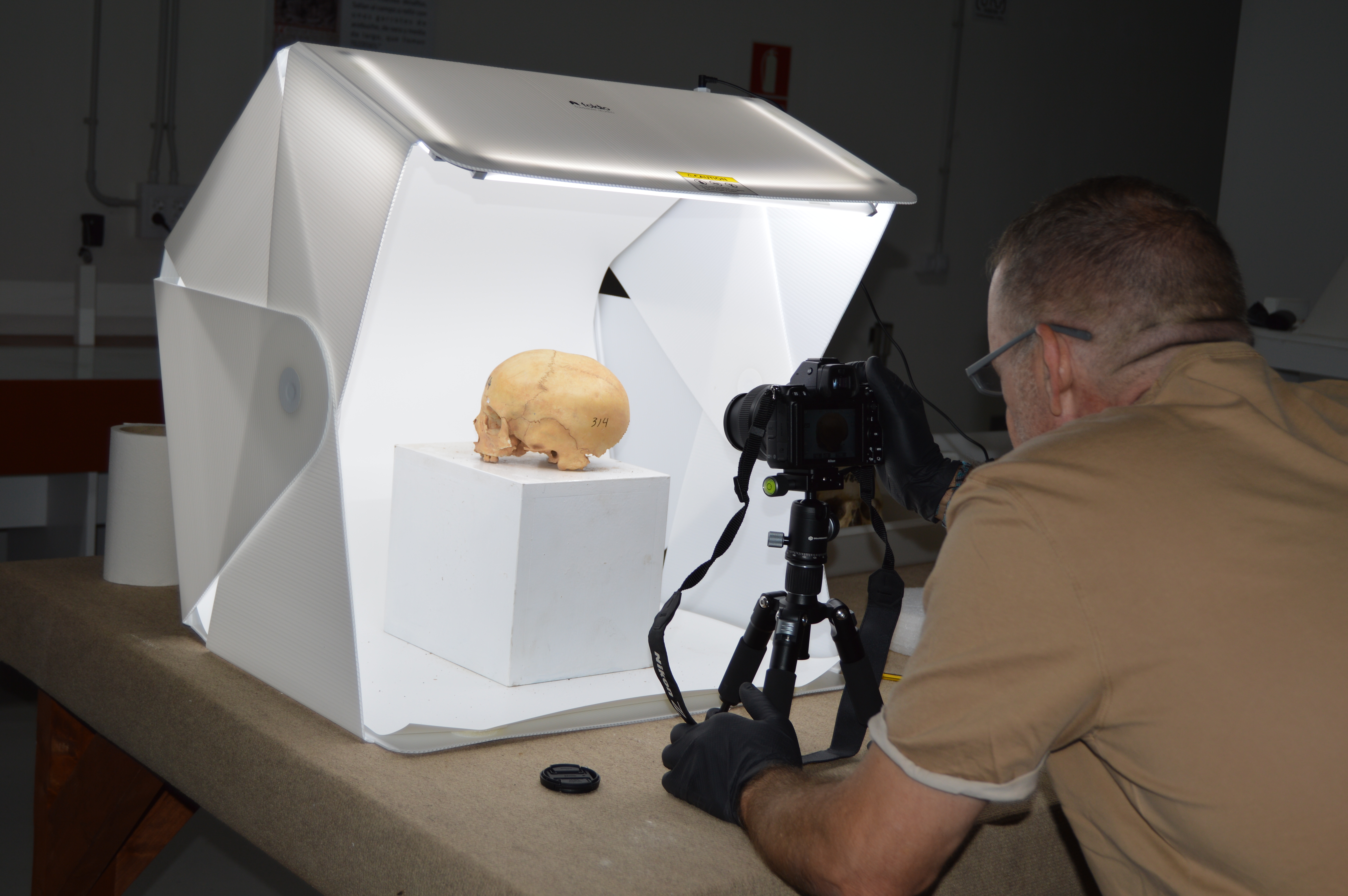 Inventario Museo Arqueológico de Fuerteventura