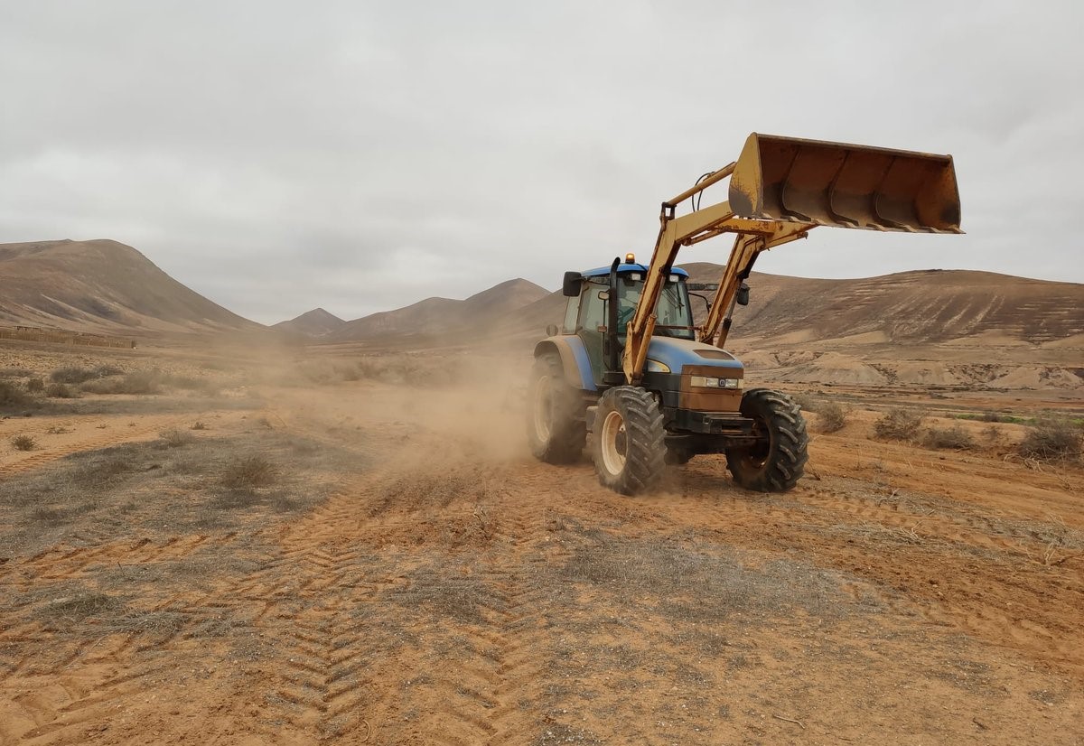 Siembra en Fuerteventura 