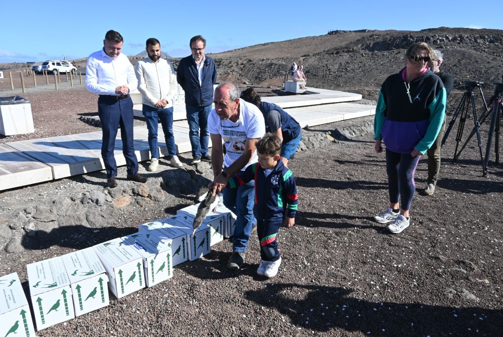 Suelta de pardelas / CanariasNoticias