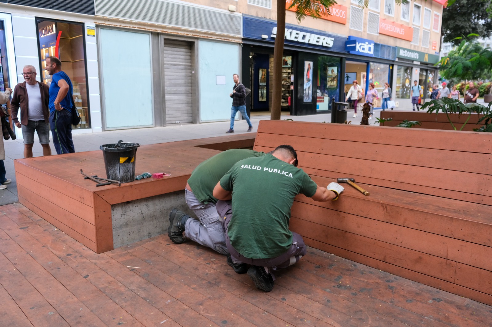 Desratización en la avenida José Mesa y López