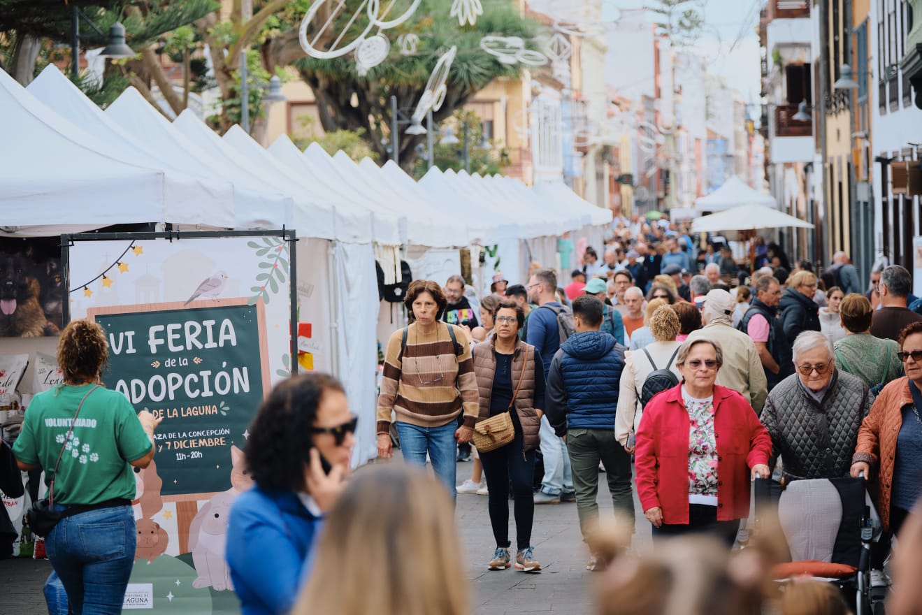 Feria de Adopción y Bienestar Animal