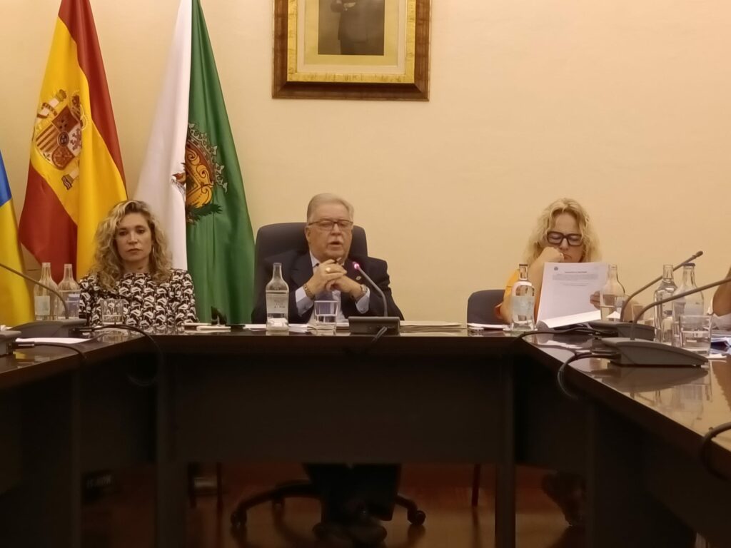 Pleno del Ayuntamiento de Santa Brígida / CanariasNoticias