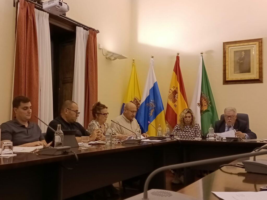 Pleno del Ayuntamiento de Santa Brígida / CanariasNoticias