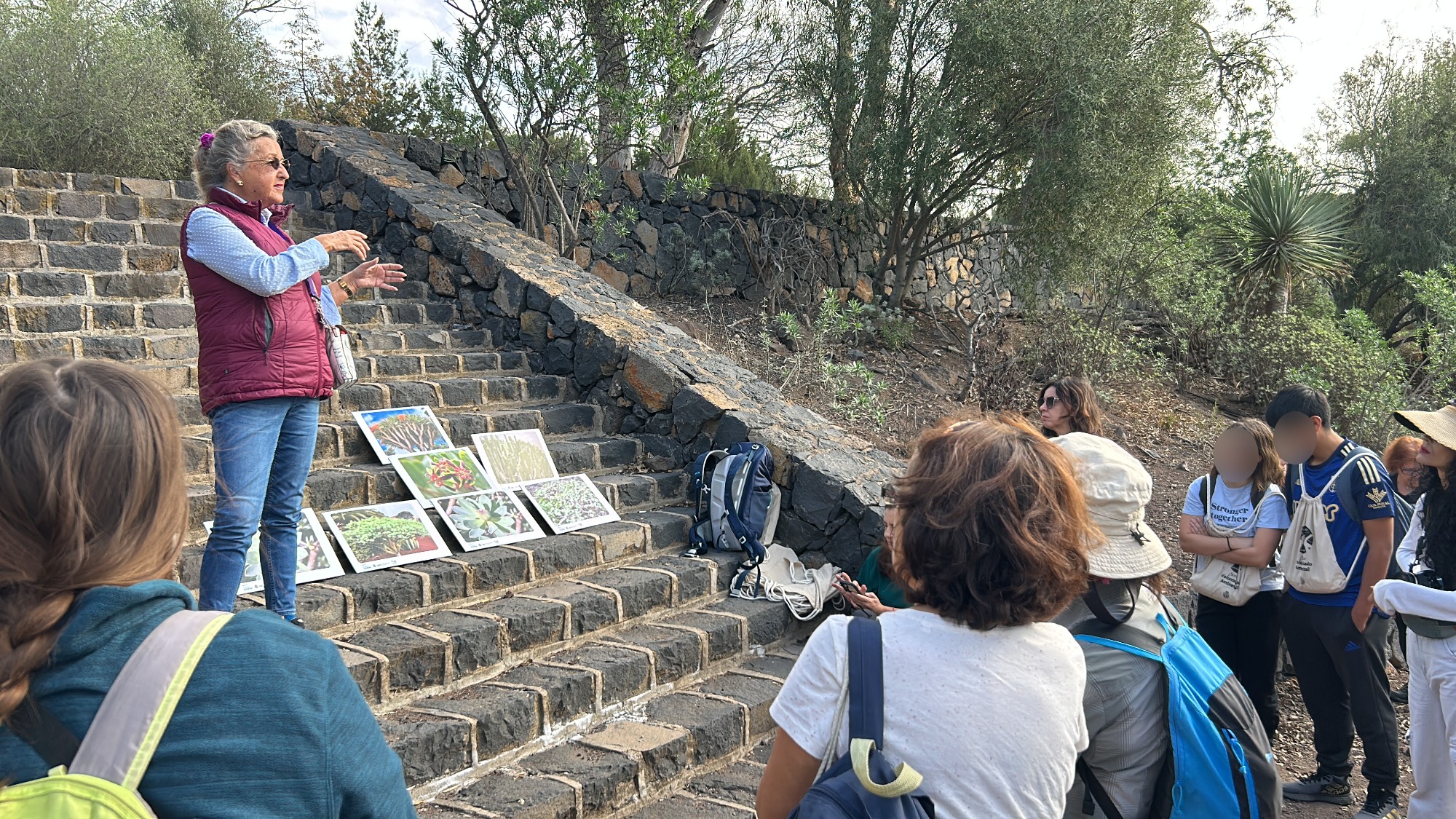 Recuperación Monte de Las Mesas