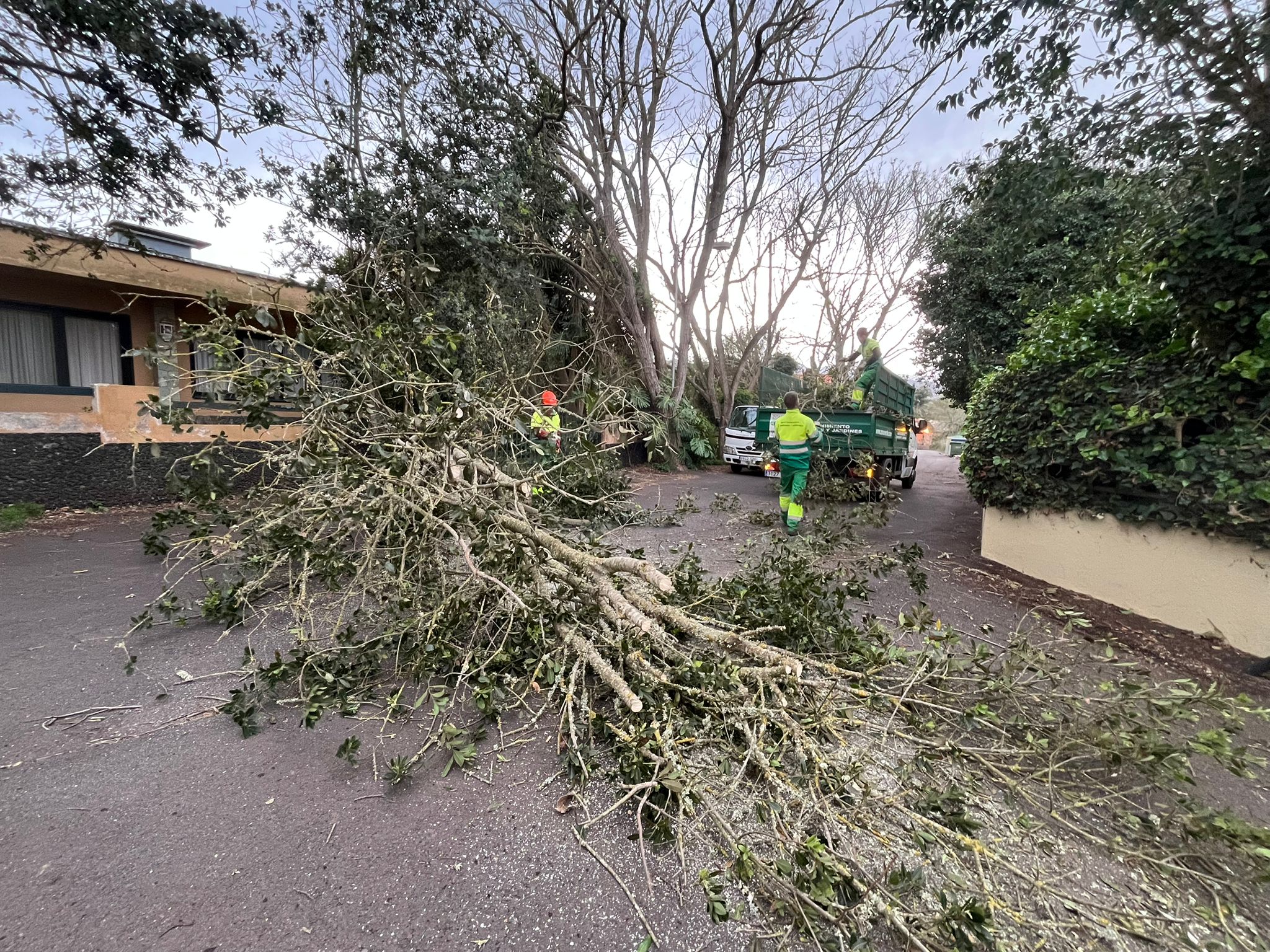 Consecuencias de la borrasca Dorothea