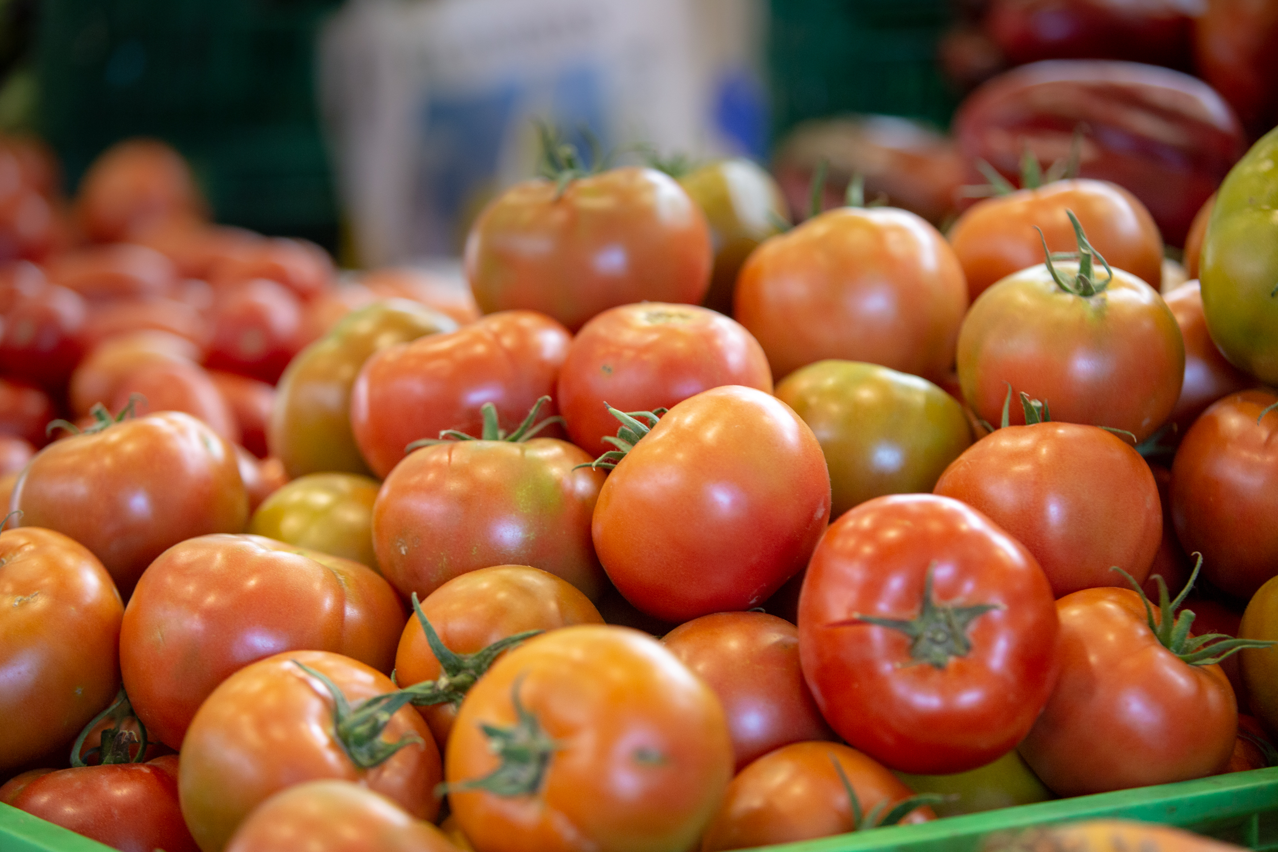 Agromercado de Adeje