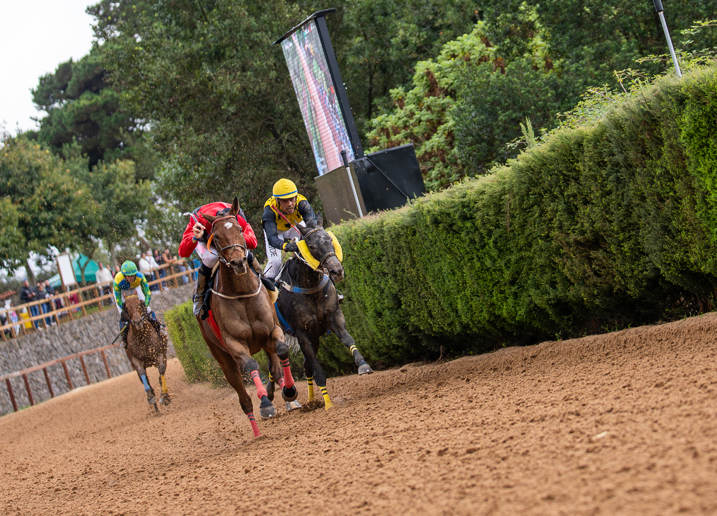 Hipódromo de Valleseco