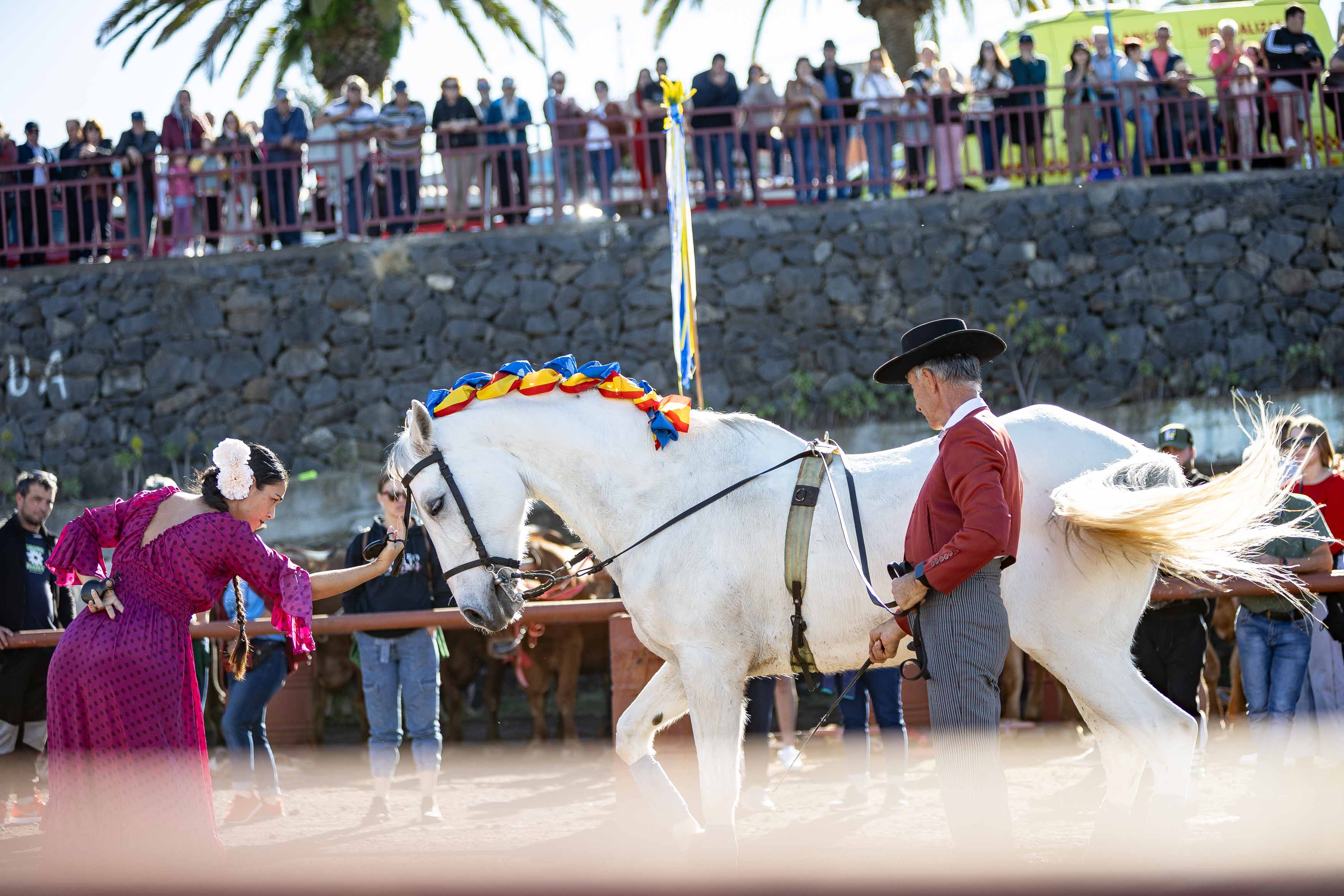 Concurso de Arrastre de Ganado