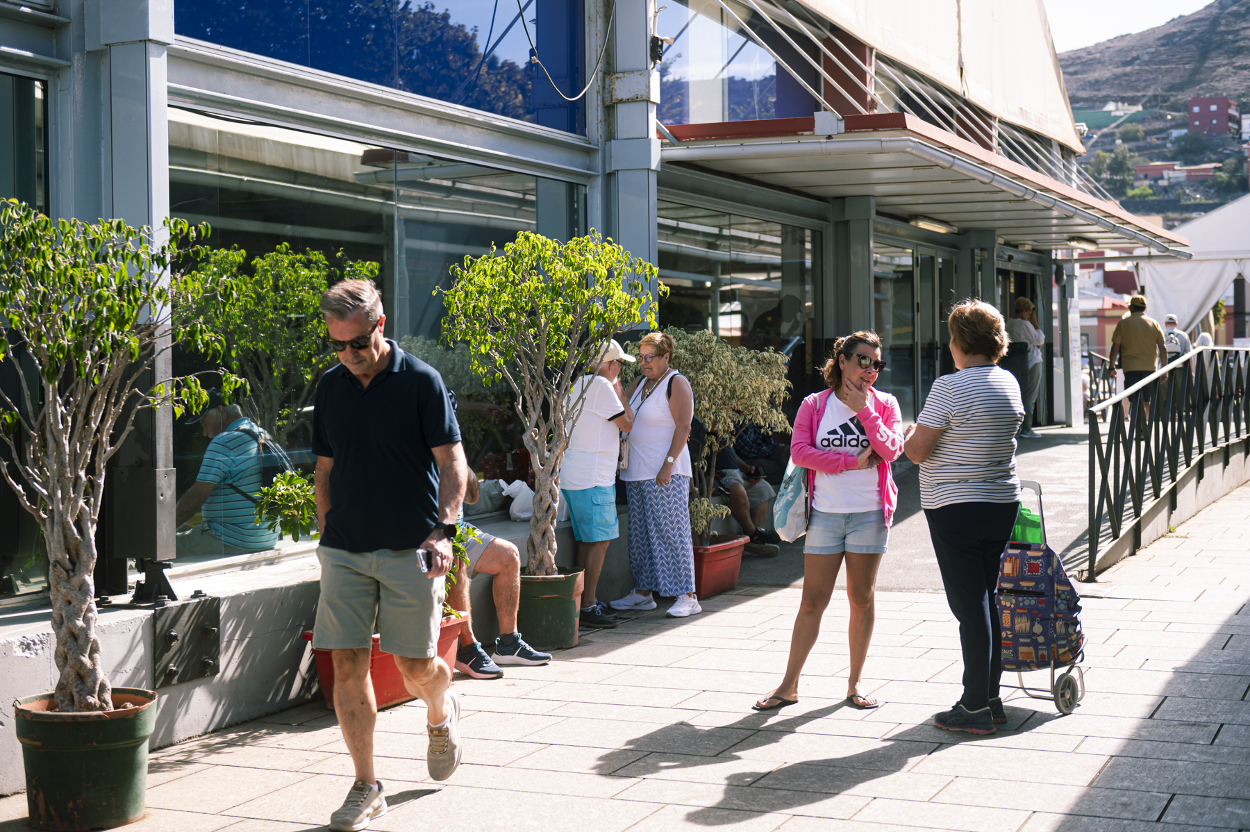 Mercado de La Laguna