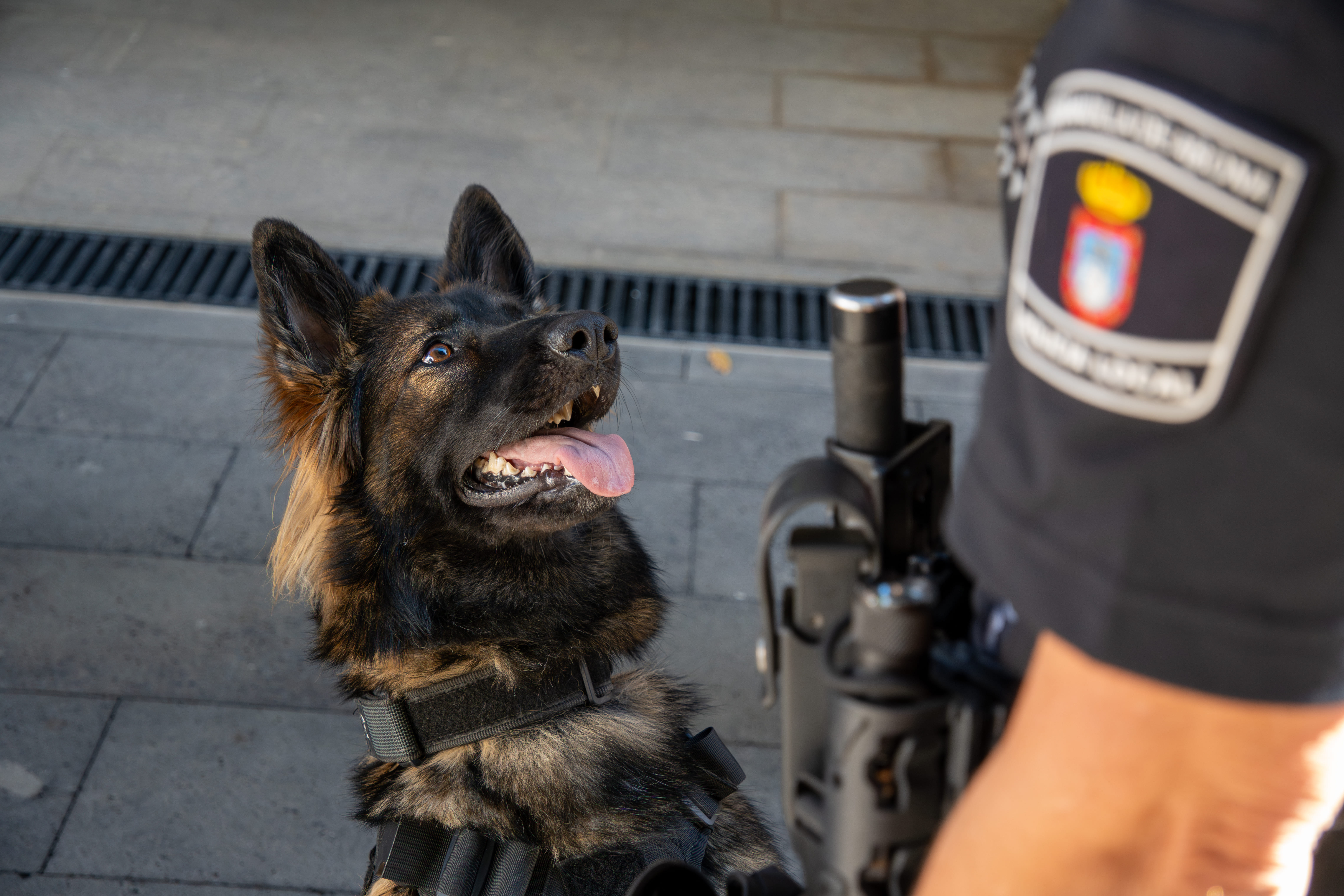 Unidad Canina Granadilla de Abona 