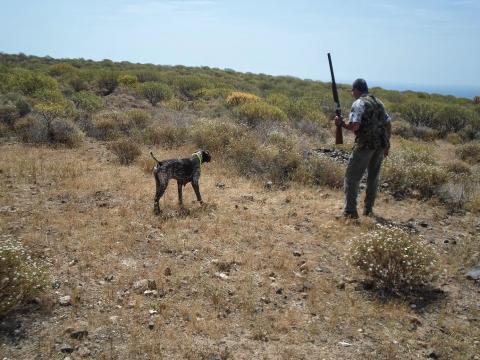 Cazador y perro