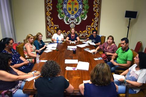 Reunión del Consejo Municipal de la Mujer de Santa Cruz de Tenerife