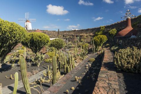 Jardín de cactus en Lanzarote