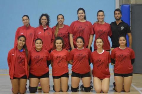 Jugadoras de voleibol