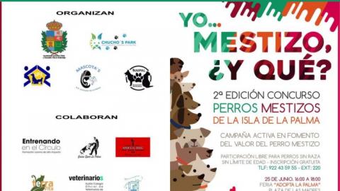 Cartel de la adopción de animales en Breña Baja