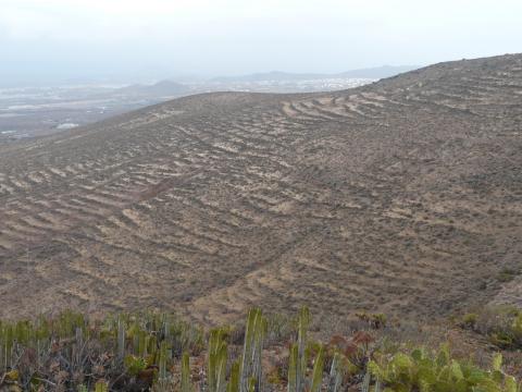 Zona desertizada en Canarias