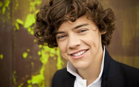 Harry Styles 