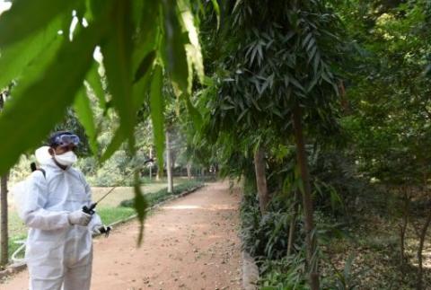 Un hombre fumigando en un parque