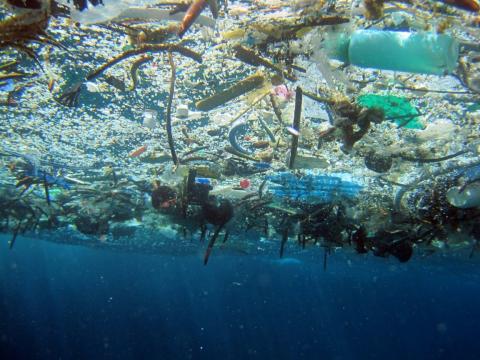 Plásticos flotando en el mar
