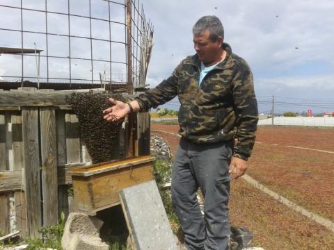 Un hombre en una colmena