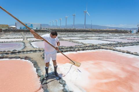 Salinas de Tenefé