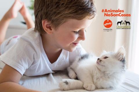 un niño y un gato